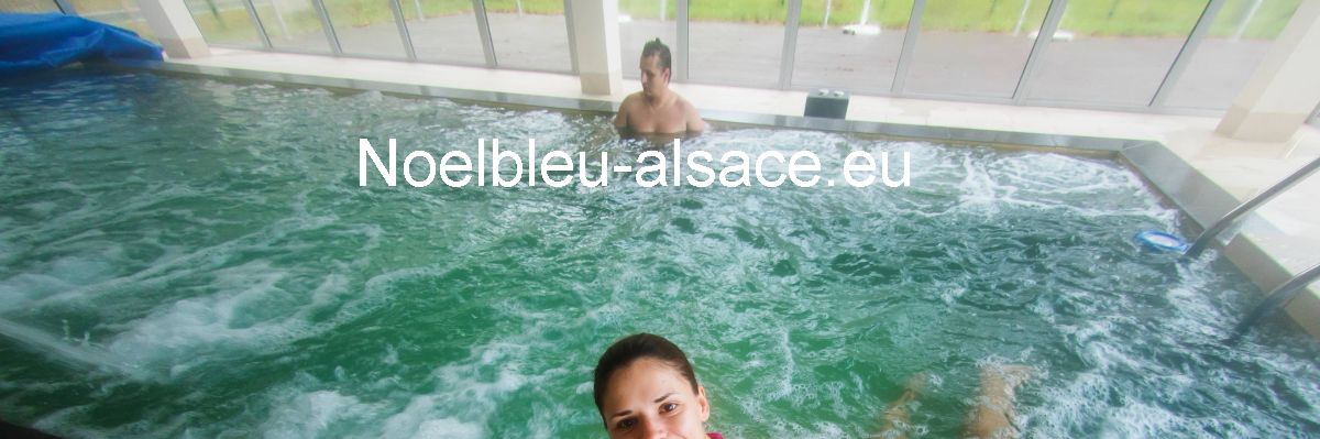 noelbleu-alsace.eu